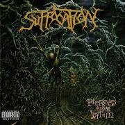 Suffocation Pierced From Within