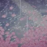 Hisohkah Cherry Blossom Scatter Feat Dvdkm