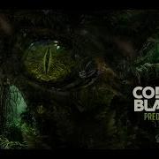 Predator Code Black