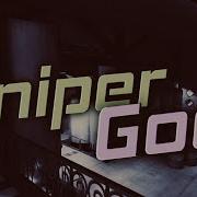 Pro Sniper 2 Critical Ops