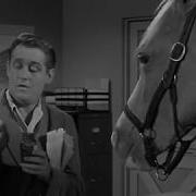 Mr Ed