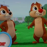 Chip Dale