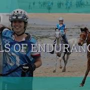 Endurance Riding What Is Endurance