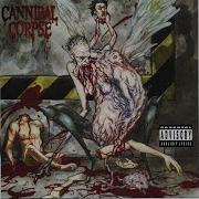 Dead Human Collection Cannibal Corpse