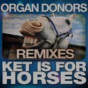 Ket Is For Horses Jr Sax Hyper Activ Remix Organ Donors