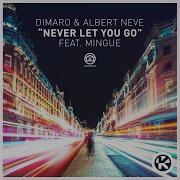 Albert Neve Never Let You Go Feat Mingue Dimaro Extended Remix