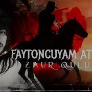 Faytoncu At Qara