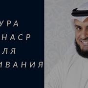 Изажа Сураси