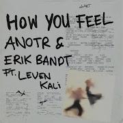 How You Feel Original Mix Anotr Leven Kali Erik