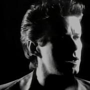 Not Enough Love In The World Don Henley