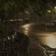 Slow Pond Stream Spring Rain Season Music