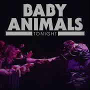 Baby Animals Tonight