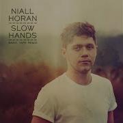 Niall Horan Slow Hands Remix