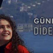 Didem Didem