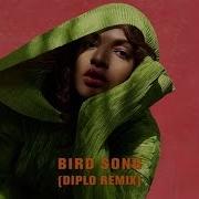 M I A Bird Song