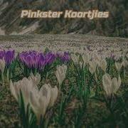 Pinkster Koortjies Kom Kom Kom Pinkster Koortjies