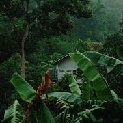 Thunderstorm Rain Sounds Life Sounds Nature Nature Sounds Nature