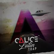 Calice Latin Trap