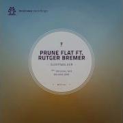 Sleepwalker Feat Rutger Bremer Prune Flat