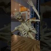 Skeleton Jake 420