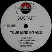 Gustaff Your Mind On Acid