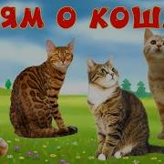 Детям О Кошках